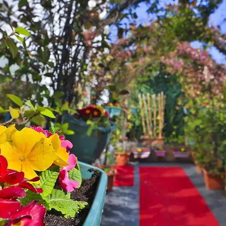 Malta Bosphorus Hotel